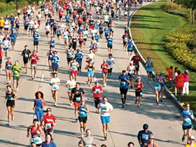 Marathon track management
