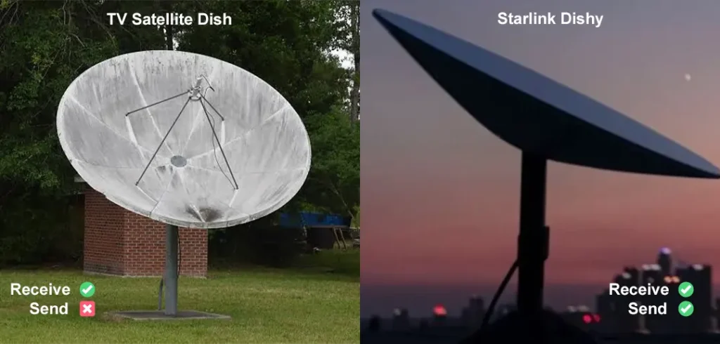 dish vs dishy